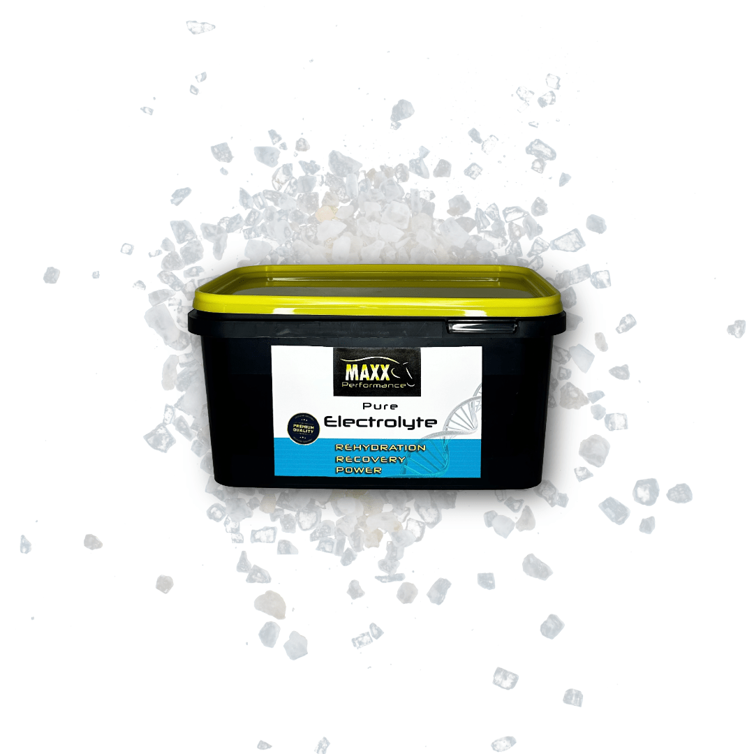 Pure ElectrolyteB.H. Products GmbHSupplements für Pferde