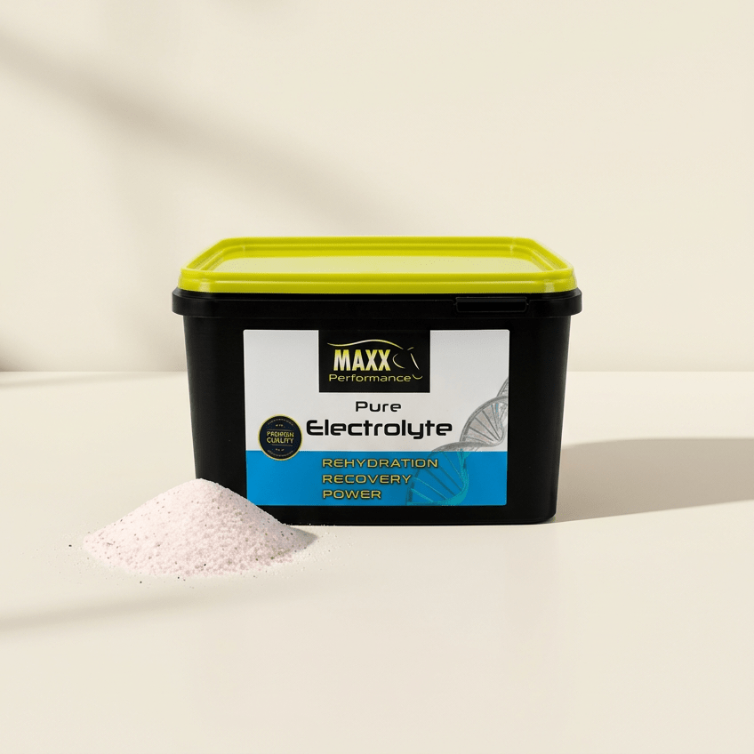 Pure ElectrolyteB.H. Products GmbHSupplements für Pferde
